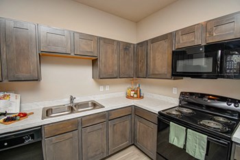 Apartment Kitchen - Photo Gallery 9