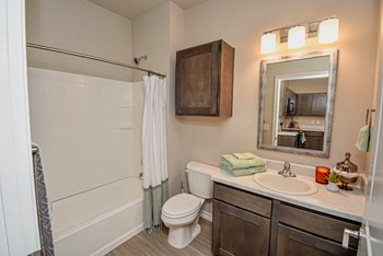 Apartment Bathroom - Photo Gallery 6