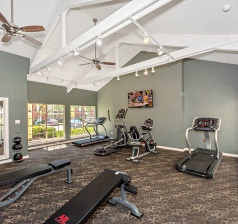 a gym with treadmills and other exercise equipment on a carpet