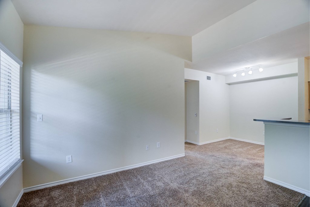 A room with a carpeted floor and a window on the left side.