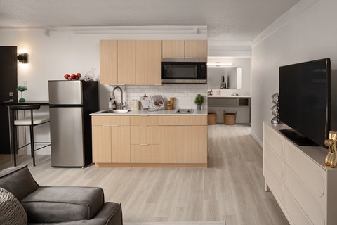 a kitchen and living room with a refrigerator and a sink