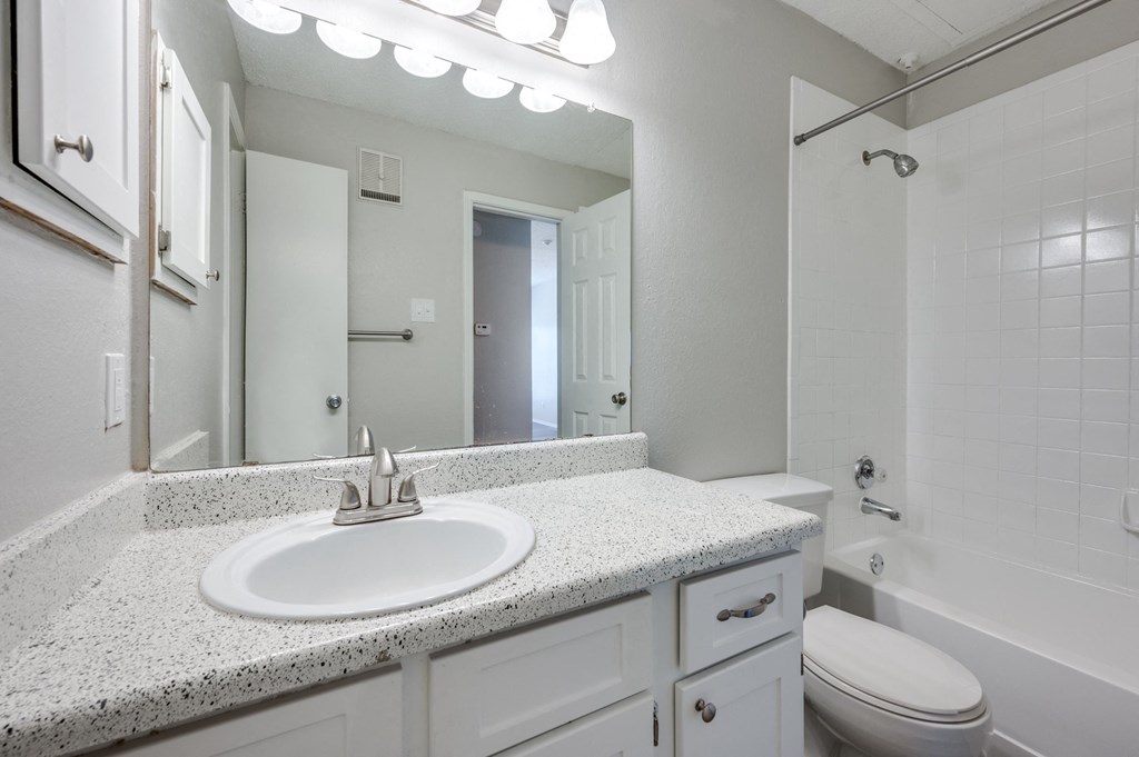 a bathroom with a sink and a toilet and a mirror