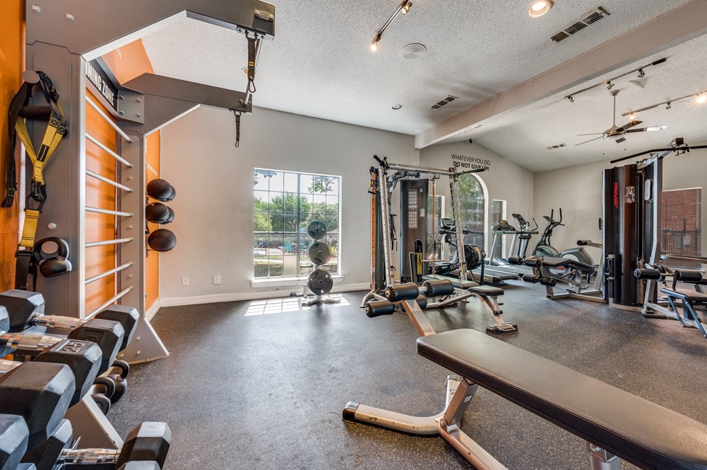 the gym has plenty of weights and cardio equipment and a large window