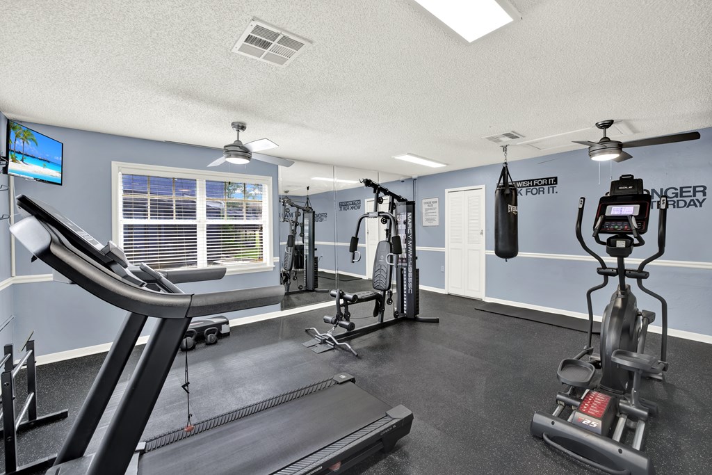 A gym with a treadmill, weights, and a television.