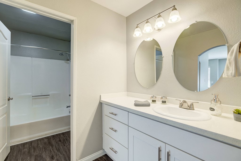 a bathroom with a mirror and a sink and a shower