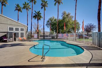 A pool surrounded by palm trees and a fence.