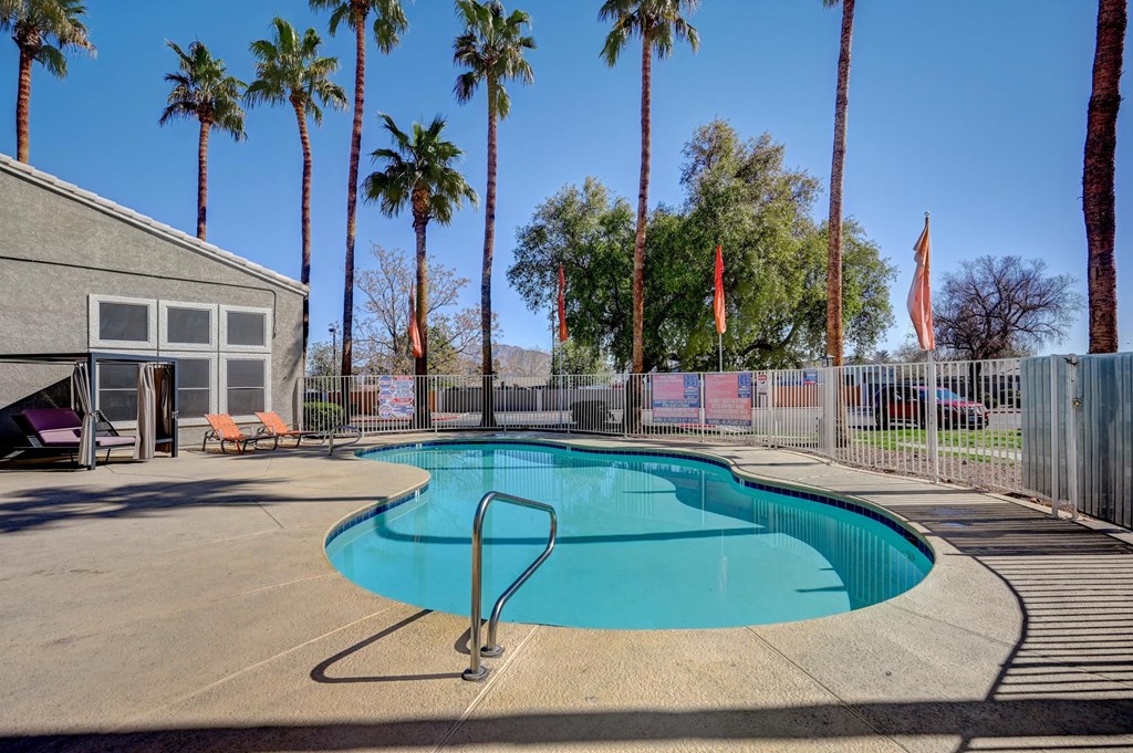 A pool surrounded by palm trees and a fence.