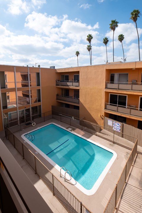 A pool on a balcony with a building and palm trees in the background at Menlo Terrace Apartments, Los Angeles, California