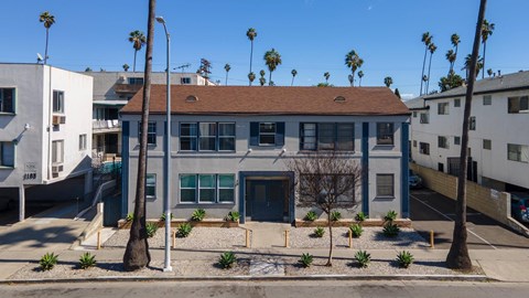 A building with a blue door is surrounded by palm trees.