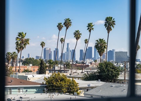 Palm trees in the foreground with a city skyline in the background at Normandie Summit Apartments, Los Angeles, California