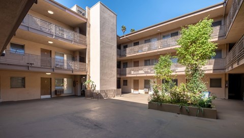 A courtyard with a tree and a building in the background.