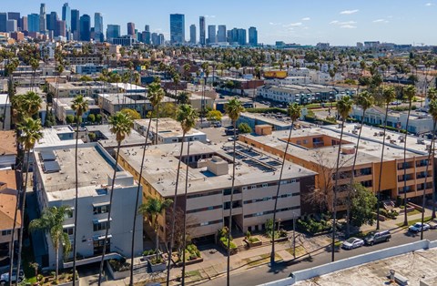 A cityscape with buildings and palm trees.
