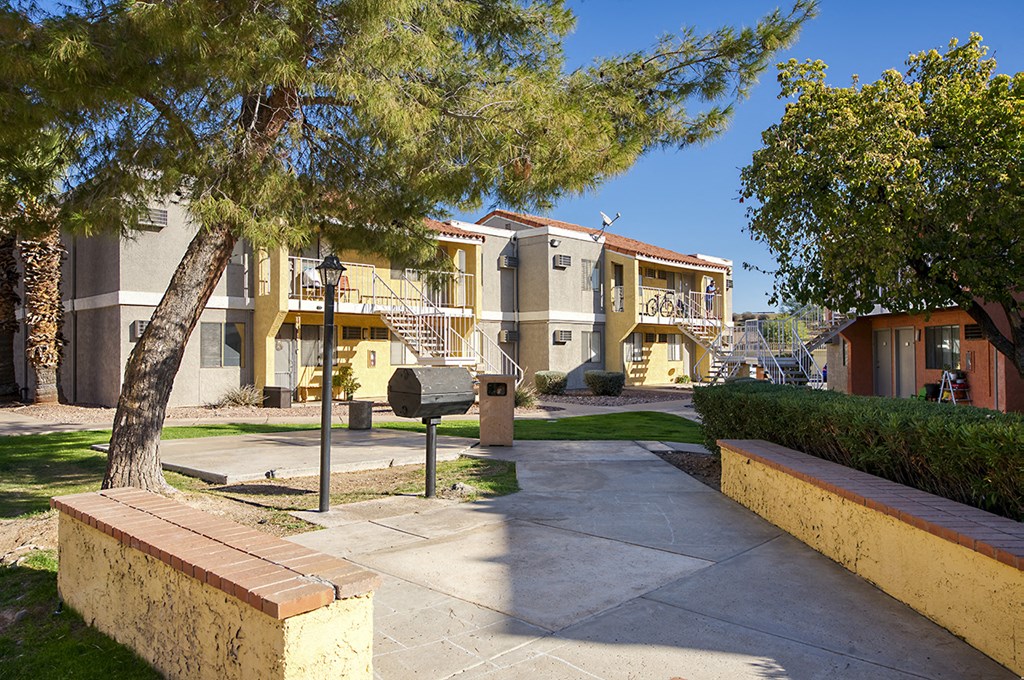 A tree in a courtyard of apartment buildings.