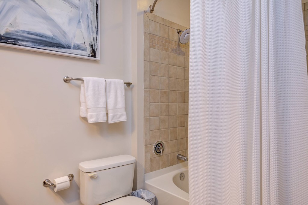 A white toilet sits next to a white shower curtain in a bathroom.