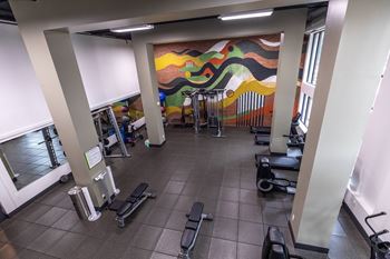 A gym with a large mural on the wall.