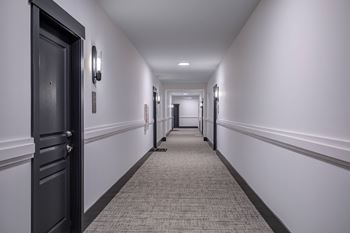 A hallway with a carpeted floor and white walls.
