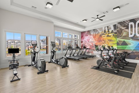 A gym with exercise equipment and a wall mural.