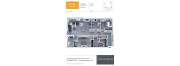C5