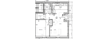 Open layout for kitchen and living area, large bedroom with closet, walk-in closet off bathroom, windows in kitchen, living, and bedroom.
