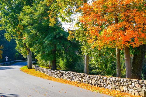 A road with a stone wall and trees with orange leaves.