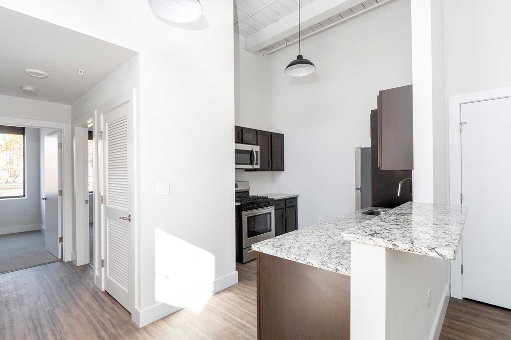 Kitchen with designer finishes