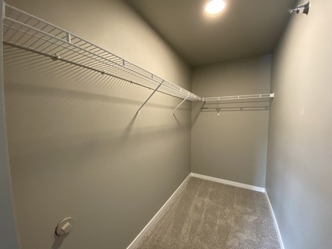 A walk-in closet with a carpeted floor and white walls.