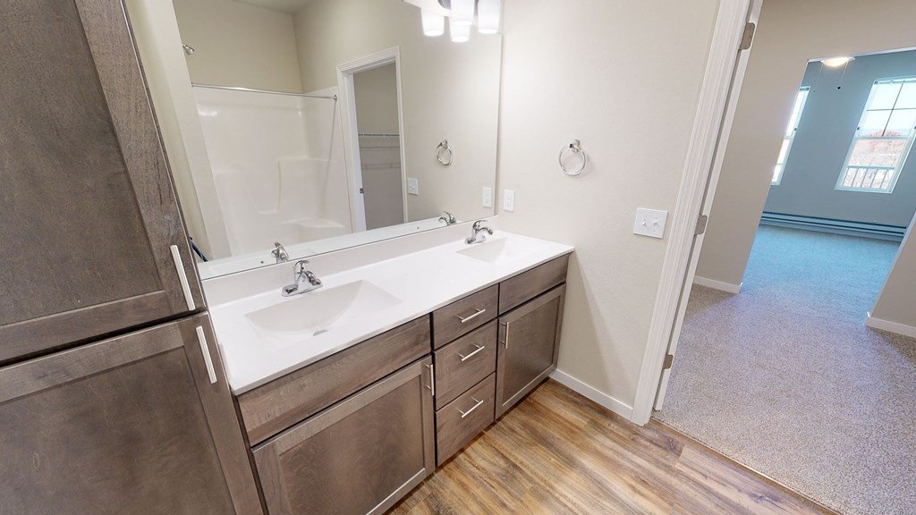 2 Bdrm  Apartment |  at 5th Ward | Bathroom