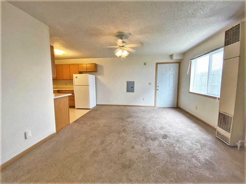 Apartment | 2 BR | 1 Bath | Living Area | Carpet | Three Sixty Real Estate