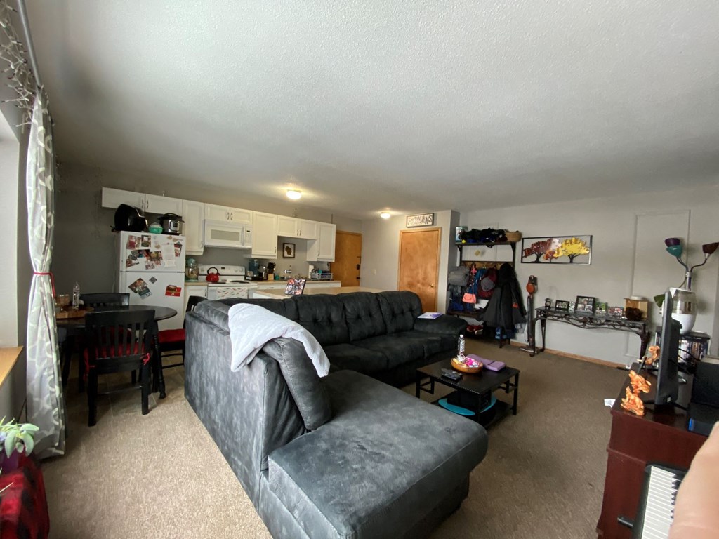 Living Space | 2 BR|1Bath | Falls Apt