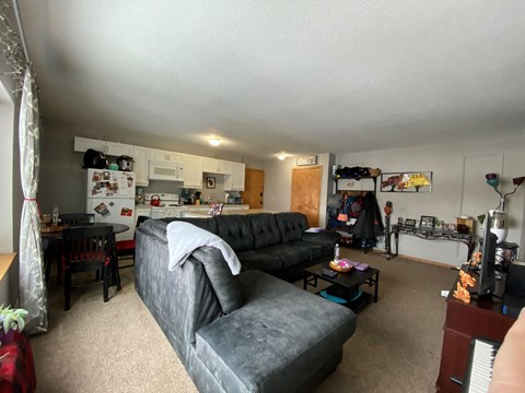Living Space | 2 BR|1Bath | Falls Apt