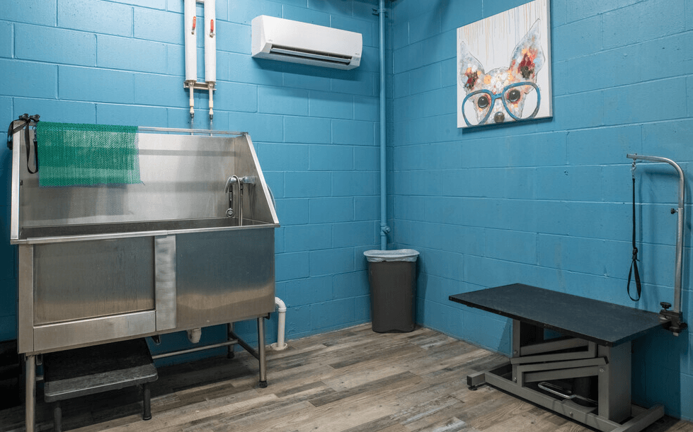 GRR | Pet Grooming Station | Three Sixty Real Estate