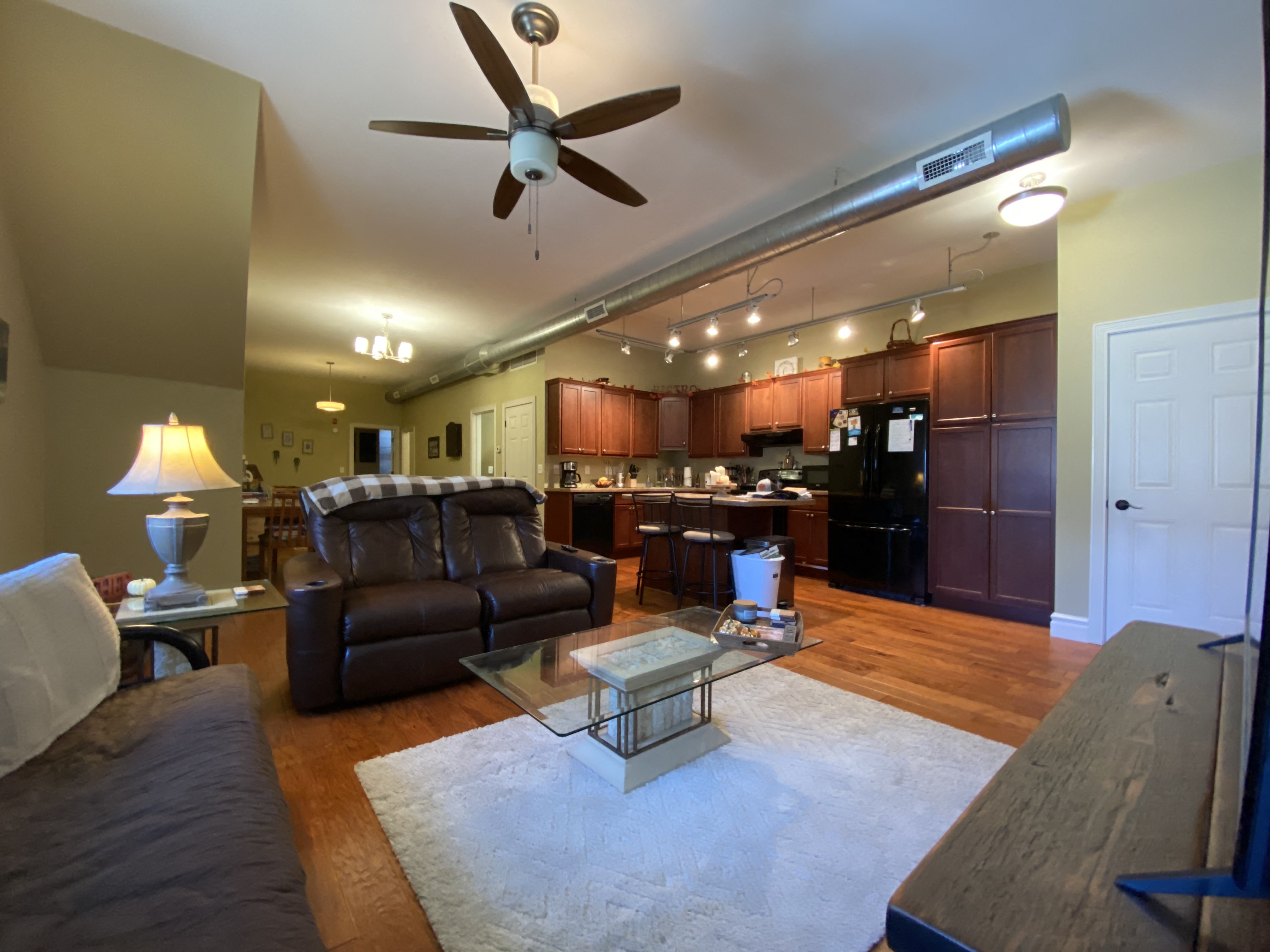 #202 1BR1B Apartment  Downtown La Crosse Three Sixty