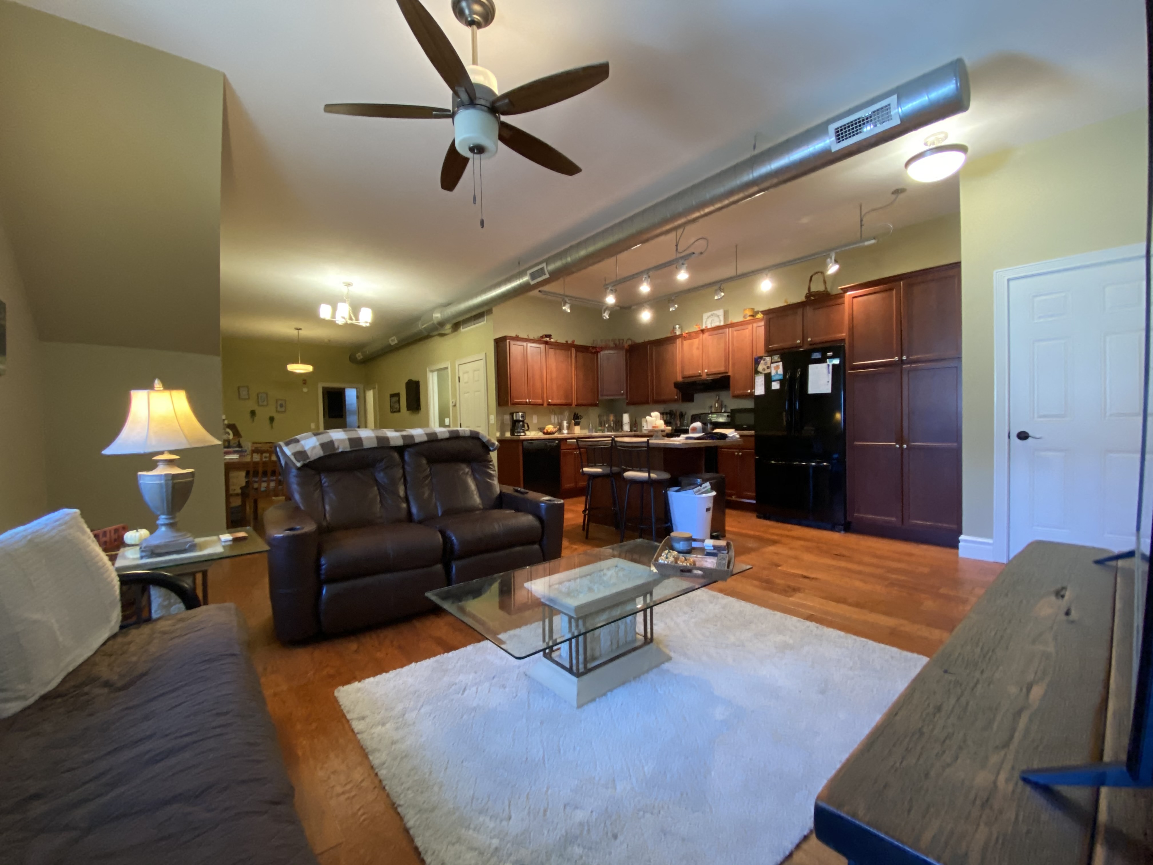 #202 1BR1B Apartment  Downtown La Crosse Three Sixty