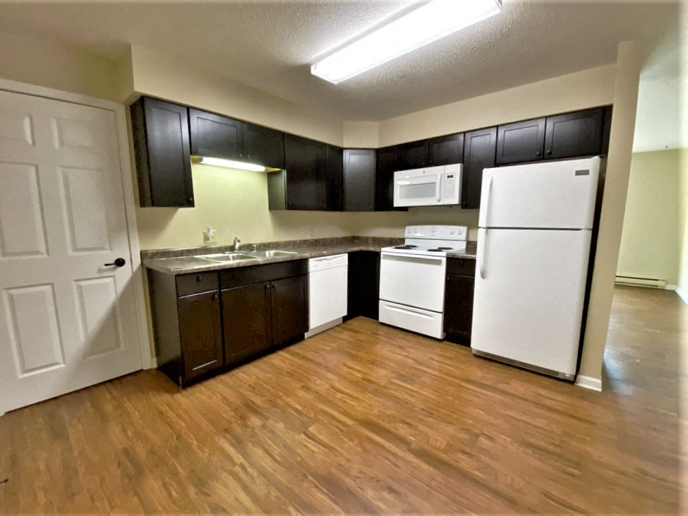 2 BR | Remodeled | Kitchen | LVT | Three Sixty Real Estate