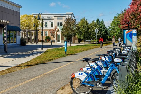 A row of blue bikes are parked on the side of a street.