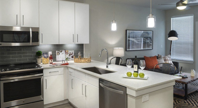 A2 Kitchen and Living Room