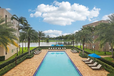 A large swimming pool surrounded by palm trees and lounge chairs.