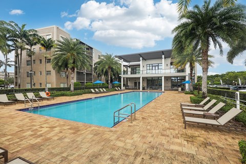 A swimming pool surrounded by palm trees and lounge chairs.