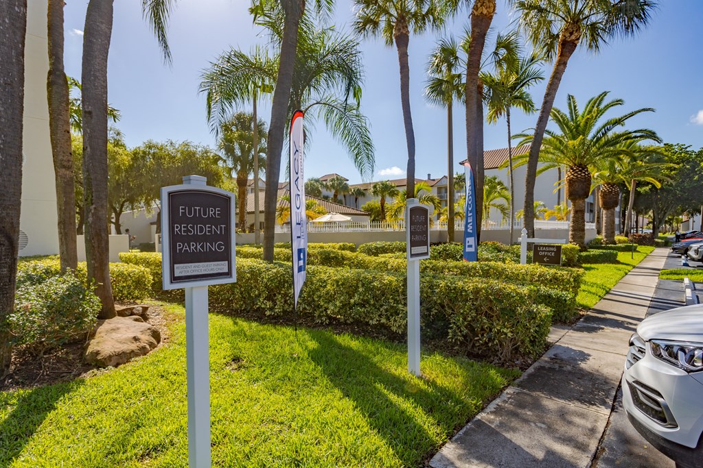 a street with palm trees and a sign that reads future resort park