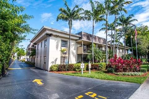 a house with palm trees and a road in front of it