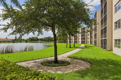 A tree in a circle of grass by a building.