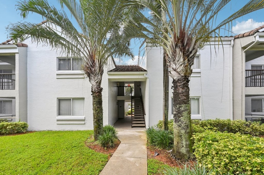 A white building with a palm tree in front.
