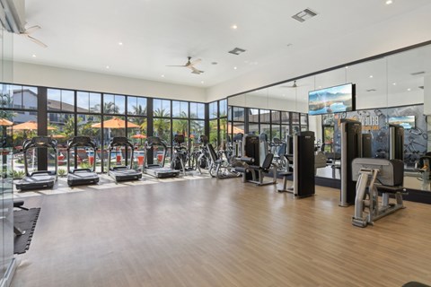 A gym with treadmills, elliptical machines, and other exercise equipment.