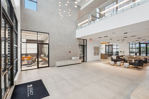 A modern interior space with a black and white rug on the floor.