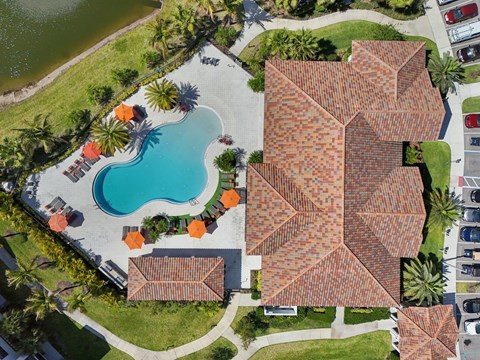 A bird's eye view of a residential area with a swimming pool and palm trees.