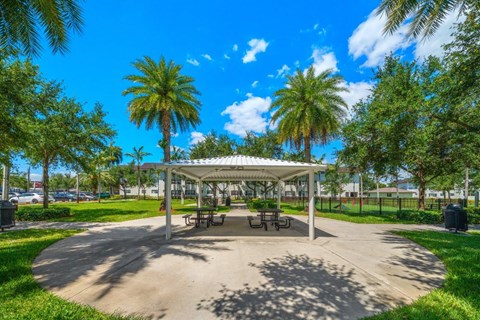 A park with a pavilion, benches, and palm trees.