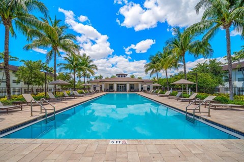 A large swimming pool surrounded by palm trees and lounge chairs.