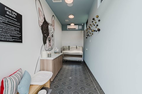 A dog spa room with a sign on the wall and a dog's face on the wall.