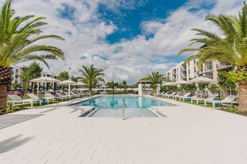 A large swimming pool surrounded by palm trees and lounge chairs.