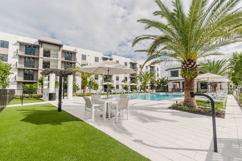 A palm tree is in the foreground of a white building with a pool.